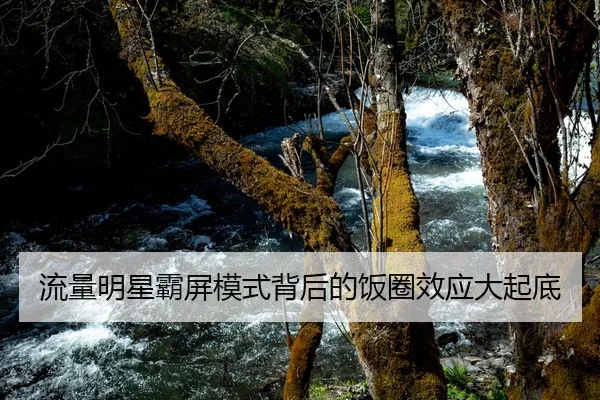 流量明星霸屏模式背后的饭圈效应大起底